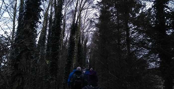 Westgate Wood, Wyberton
